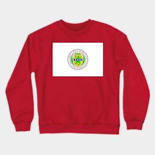 Flag of Midlothian, Illinois Crewneck Sweatshirt